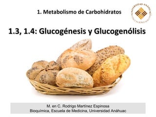 1. Metabolismo de Carbohidratos


1.3, 1.4: Glucogénesis y Glucogenólisis




               M. en C. Rodrigo Martínez Espinosa
      Bioquímica, Escuela de Medicina, Universidad Anáhuac
 