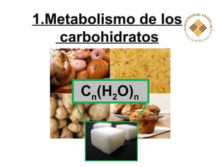 1.Metabolismo de los carbohidratos C n (H 2 O) n   