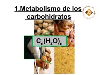 1.Metabolismo de los
   carbohidratos


      Cn(H2O)n
 