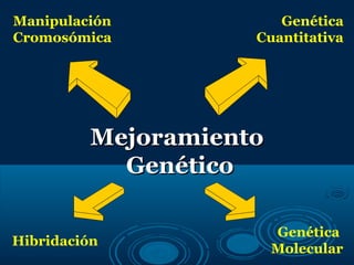 Manipulación            Genética
Cromosómica          Cuantitativa




          Mejoramiento
            Genético

                         Genética
Hibridación
                         Molecular
 