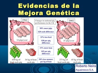 Evidencias de la
Mejora Genética
 