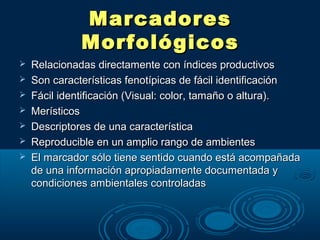 Marcadores
              Morfológicos
   Relacionadas directamente con índices productivos
   Son características fenotípicas de fácil identificación
   Fácil identificación (Visual: color, tamaño o altura).
   Merísticos
   Descriptores de una característica
   Reproducible en un amplio rango de ambientes
   El marcador sólo tiene sentido cuando está acompañada
    de una información apropiadamente documentada y
    condiciones ambientales controladas
 