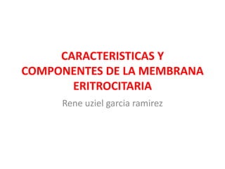 CARACTERISTICAS Y
COMPONENTES DE LA MEMBRANA
ERITROCITARIA
Rene uziel garcia ramirez
 
