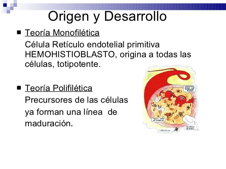 Teoria monofiletica caracteristicas_teoria_online