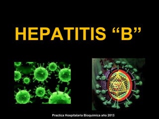 HEPATITIS “B” 
Practica Hospitalaria Bioquímica año 2013 
 