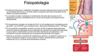 Fisiopatolagia
• El deterioro bioquímico, metabólico y fisiológico asociado clásicamente al cuadro de HM
es el resultado directo de un aumento súbito y progresivo del calcio intracelular de las
células musculares estriadas.
• Los canales de calcio implicados en la liberación del calcio del músculo son los
receptores ryanodina y probablemente en mucho menor grado los receptores de la
dihidropiridina.
• En las personas normales, los niveles de Ca 2+ en el mioplasma son controlados por el
gen RyR1, por el DHPR y por el sistema Ca2+ -adenosina trifosfatasa (Ca2+ -ATPasa).
• En los pacientes susceptibles, durante una crisis de HM, el agente desencadenante
induce la apertura prolongada de los receptores de ryanodina funcionalmente alterados,
lo que produce una liberación excesiva de calcio del retículo sarcoplásmico y una
contracción muscular mantenida que se presenta clínicamente como rigidez.
• Además, la activación constante del metabolismo aeróbico y anaeróbico resulta en un
mayor consumo de oxígeno, lo que conduce a hipoxia, acidosis láctica, producción
excesiva de CO 2 y aumento de la temperatura corporal.
 