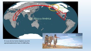 De África a América
El cruce de los homo Sapiens ocurrió
aproximadamente hace 21.000 años.
Estrecho de
Bering
 
