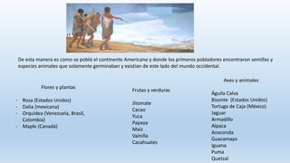 De esta manera es como se pobló el continente Americano y donde los primeros pobladores encontraron semillas y
especies animales que solamente germinaban y existían de este lado del mundo occidental.
Flores y plantas
- Rosa (Estados Unidos)
- Dalia (mexicana)
- Orquídea (Venezuela, Brasil,
Colombia)
- Maple (Canadá)
Frutas y verduras
Jitomate
Cacao
Yuca
Papaya
Maíz
Vainilla
Cacahuates
Aves y animales
Águila Calva
Bisonte (Estados Unidos)
Tortuga de Caja (México)
Jaguar
Armadillo
Alpaca
Anaconda
Guacamayo
Iguana
Puma
Quetzal
 