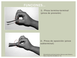 FUNCIONES…
       1 .- Pinza termino-terminal
       (pinza de prensión)




       2.- Pinza de oposición (pinza
       subterminal)



         Biomechanics and hand trauma: what you need. Steven L.
         Moran. Hand Clin 19 (2003) 17–31
 