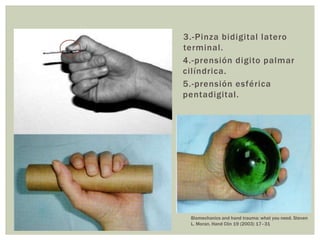 3.-Pinza bidigital latero
terminal.
4.-prensión digito palmar
cilíndrica.
5.-prensión esférica
pentadigital.




 Biomechanics and hand trauma: what you need. Steven
 L. Moran. Hand Clin 19 (2003) 17–31
 