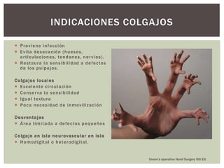 INDICACIONES COLGAJOS

 P rev i ene i n fe c c ión
 E v i t a de s e c a ció n ( h ue s os,
  a r ti cul a cion es, te n do n e s, n e r v i os).
 Re s t a ura l a s e n s ibilida d a de fe c to s
  de l o s pul pe j o s.

C o lg a jo s l o c a les
 E xc e lente c i rc ul a c ión
 Co n se r va l a s e n sibilida d
 Ig ua l tex t ura
 Po c a n e c e sida d de i n m oviliz ació n

D e sven t ajas
 Áre a l i m it ada a de fe c to s pe q ue ñ o s

C o lg a jo e n i s l a n e u rovas c ular e n i s l a
 H o m o digit a l o h ete ro di g it al .


                                                         Green’s operative Hand Surgery 5th Ed.
 