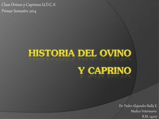 Clase Ovinos y Caprinos U.D.C.A
Primer Semestre 2014

Dr. Pedro Alejandro Bulla E.
Medico Veterinario
R.M. 24027

 