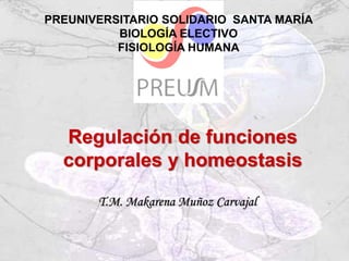 Regulación de funciones
corporales y homeostasis
PREUNIVERSITARIO SOLIDARIO SANTA MARÍA
BIOLOGÍA ELECTIVO
FISIOLOGÍA HUMANA
T.M. Makarena Muñoz Carvajal
 