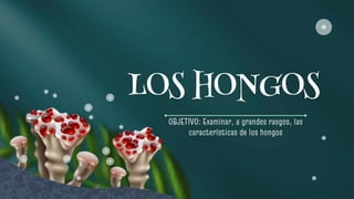 LOS HONGOS
OBJETIVO: Examinar, a grandes rasgos, las
características de los hongos
 
