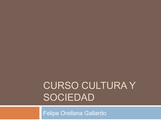 CURSO CULTURA Y
SOCIEDAD
Felipe Orellana Gallardo
 