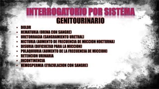GENITOURINARIO
• DOLOR
• HEMATURIA (ORINA CON SANGRE)
• URETORRAGIA (SANGRAMIENTO URETRAL)
• NICTURIA (AUMENTO DE FRECUENCIA DE MICCION NOCTURNA)
• DISURIA (DIFICULTAD PARA LA MICCION)
• POLAQUIURIA (AUMENTO DE LA FRECUENCIA DE MICCION)
• RETENCION URINARIA
• INCONTINENCIA
• HEMOSPERMIA (EYACULACION CON SANGRE)
 