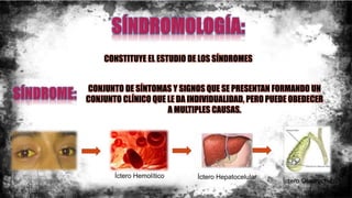CONSTITUYE EL ESTUDIO DE LOS SÍNDROMES
CONJUNTO DE SÍNTOMAS Y SIGNOS QUE SE PRESENTAN FORMANDO UN
CONJUNTO CLÍNICO QUE LE DA INDIVIDUALIDAD, PERO PUEDE OBEDECER
A MULTIPLES CAUSAS.
Íctero Hemolítico Íctero Hepatocelular
Íctero Obstructivo
 