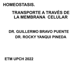 HOMEOSTASIS.
TRANSPORTE A TRAVÉS DE
LA MEMBRANA CELULAR
DR. GUILLERMO BRAVO PUENTE
DR. ROCKY YANQUI PINEDA
ETM UPCH 2022
 