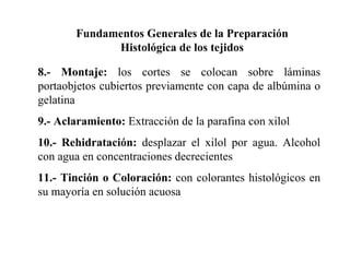 Fundamentos Generales de la Preparación Histológica de los tejidos 8.- Montaje:  los cortes se colocan sobre láminas portaobjetos cubiertos previamente con capa de albúmina o gelatina 9.- Aclaramiento:  Extracción de la parafina con xilol 10.- Rehidratación:  desplazar el xilol por agua. Alcohol con agua en concentraciones decrecientes 11.- Tinción o Coloración:  con colorantes histológicos en su mayoría en solución acuosa 