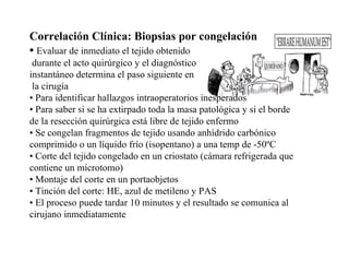 Correlación Clínica: Biopsias por congelación •  Evaluar de inmediato el tejido obtenido durante el acto quirúrgico y el diagnóstico  instantáneo determina el paso siguiente en la cirugía •  Para identificar hallazgos intraoperatorios inesperados •  Para saber si se ha extirpado toda la masa patológica y si el borde de la resección quirúrgica está libre de tejido enfermo •  Se congelan fragmentos de tejido usando anhídrido carbónico comprimido o un líquido frío (isopentano) a una temp de -50ºC •  Corte del tejido congelado en un criostato (cámara refrigerada que contiene un microtomo) •  Montaje del corte en un portaobjetos  •  Tinción del corte: HE, azul de metileno y PAS •  El proceso puede tardar 10 minutos y el resultado se comunica al cirujano inmediatamente 