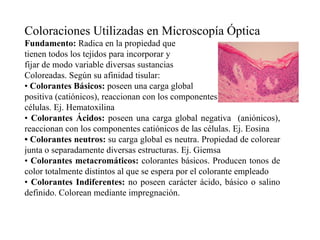Coloraciones Utilizadas en Microscopía Óptica Fundamento:  Radica en la propiedad que tienen todos los tejidos para incorporar y  fijar de modo variable diversas sustancias  Coloreadas. Según su afinidad tisular: •  Colorantes Básicos:  poseen una carga global positiva (catiónicos), reaccionan con los componentes aniónicos de las células. Ej. Hematoxilina •  Colorantes Ácidos:  poseen una carga global negativa  (aniónicos), reaccionan con los componentes catiónicos de las células. Ej. Eosina •  Colorantes neutros:  su carga global es neutra. Propiedad de colorear junta o separadamente diversas estructuras. Ej. Giemsa •  Colorantes metacromáticos:  colorantes básicos. Producen tonos de color totalmente distintos al que se espera por el colorante empleado •  Colorantes Indiferentes:  no poseen carácter ácido, básico o salino definido. Colorean mediante impregnación. 