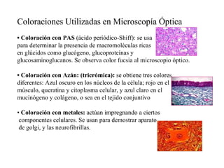 Coloraciones Utilizadas en Microscopía Óptica •  Coloración con PAS  (ácido periódico-Shiff): se usa  para determinar la presencia de macromoléculas ricas  en glúcidos como glucógeno, glucoproteínas y  glucosaminoglucanos. Se observa color fucsia al microscopio óptico. •  Coloración con Azán: (tricrómica):  se obtiene tres colores diferentes: Azul oscuro en los núcleos de la célula; rojo en el  músculo, queratina y citoplasma celular, y azul claro en el  mucinógeno y colágeno, o sea en el tejido conjuntivo •  Coloración con metales:  actúan impregnando a ciertos componentes celulares. Se usan para demostrar aparato de golgi, y las neurofibrillas. 