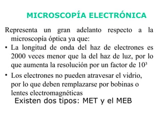 Representa un gran adelanto respecto a la microscopía óptica ya que: •   La longitud de onda del haz de electrones es 2000 veces menor que la del haz de luz, por lo que aumenta la resolución por un factor de 10 ³ Los electrones no pueden atravesar el vidrio, por lo que deben remplazarse por bobinas o lentes electromagnéticas MICROSCOPÍA ELECTRÓNICA Existen dos tipos: MET y el MEB 
