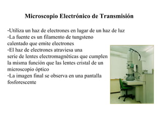Microscopio Electrónico de Transmisión Utiliza un haz de electrones en lugar de un haz de luz La fuente es un filamento de tungsteno  calentado que emite electrones El haz de electrones atraviesa una serie de lentes electromagnéticas que cumplen la misma función que las lentes cristal de un  microscopio óptico La imagen final se observa en una pantalla  fosforescente 
