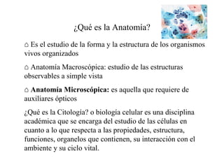 ¿Qué es la Anatomía? ⌂  Es el estudio de la forma y la estructura de los organismos vivos organizados ⌂  Anatomía Macroscópica: estudio de las estructuras observables a simple vista ⌂  Anatomía Microscópica:  es aquella que requiere de auxiliares ópticos ¿Qué es la Citología? o biología celular  es una disciplina académica que se encarga del estudio de las células en cuanto a lo que respecta a las propiedades, estructura, funciones, organelos que contienen, su interacción con el ambiente y su ciclo vital.  