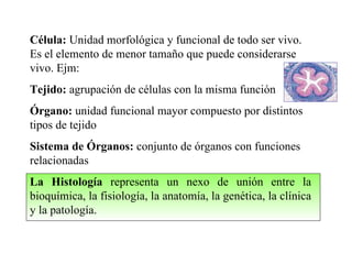 Célula:   Unidad morfológica y funcional de todo ser vivo. Es el elemento de menor tamaño que puede considerarse vivo. Ejm:  Tejido:  agrupación de células con la misma función Órgano:  unidad funcional mayor compuesto por distintos tipos de tejido Sistema de Órganos:  conjunto de órganos con funciones relacionadas La Histología  re presenta un nexo de unión entre la bioquímica, la fisiología, la anatomía, la genética, la clínica y la patología.  