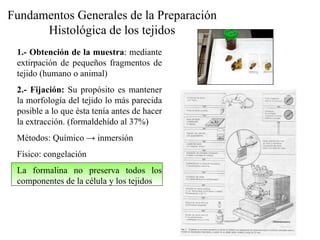 Fundamentos Generales de la Preparación Histológica de los tejidos 1.- Obtención de la muestra : mediante extirpación de pequeños fragmentos de tejido (humano o animal) 2.- Fijación:  Su propósito es mantener la morfología del tejido lo más parecida posible a lo que ésta tenía antes de hacer la extracción. (formaldehído al 37%) Métodos: Químico  -> inmersión Físico: congelación La formalina no preserva todos los componentes de la célula y los tejidos 