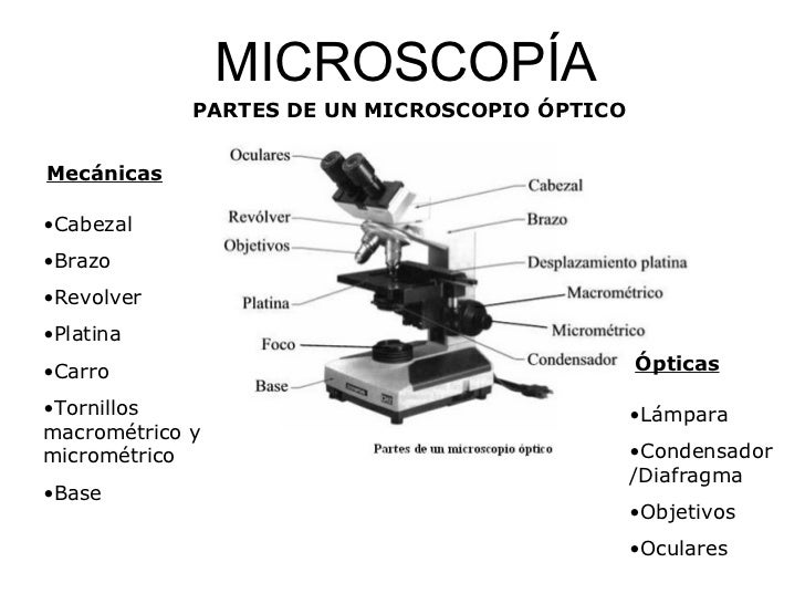 BIOLOG A Y MICROBIOLOG A AMBIENTAL