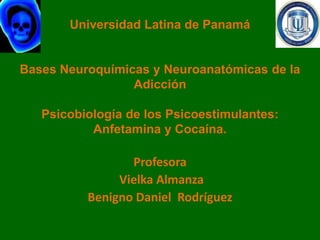 Universidad Latina de Panamá


Bases Neuroquímicas y Neuroanatómicas de la
                 Adicción

   Psicobiología de los Psicoestimulantes:
           Anfetamina y Cocaína.

                 Profesora
               Vielka Almanza
          Benigno Daniel Rodríguez
 