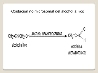 Alilico Clase II BT.ppt