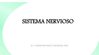 SISTEMA NERVIOSO
Q. F. YONATHAN VINCET MENDOZA JAYO
 