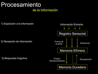 Procesamiento de la Información Registro Sensorial Memoria Efímera Memoria Duradera Información Entrante 1) Exposición a la información 2) Recepción de información 3) Respuesta Cognitiva Fuerza de la señal Pertinencia Ensayo (Almacenamiento) Recuperación 