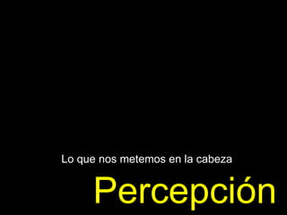 Percepción Lo que nos metemos en la cabeza 