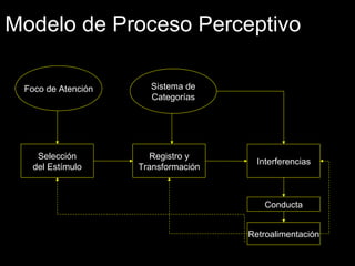 Modelo de Proceso Perceptivo Foco de Atención Selección del Estímulo Sistema de Categorías Registro y Transformación Interferencias Conducta Retroalimentación 