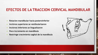 EFECTOS DE LA TRACCION CERVICAL MANDIBULAR
 Rotacion mandibular hacia posteroinferior
 Incisivos superiores se vestibularizaron
 Incisivos inferiores se lingualizaron
 Poco incremento en mandíbula
 Restringe crecimiento sagital de la mandíbula
 