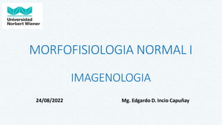 MORFOFISIOLOGIA NORMAL I
IMAGENOLOGIA
24/08/2022 Mg. Edgardo D. Incio Capuñay
 