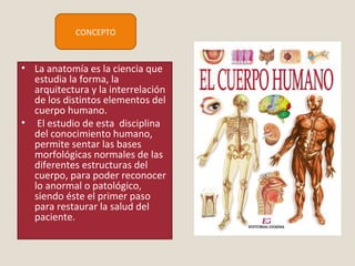 CONCEPTO 
• La anatomía es la ciencia que 
estudia la forma, la 
arquitectura y la interrelación 
de los distintos elementos del 
cuerpo humano. 
• El estudio de esta disciplina 
del conocimiento humano, 
permite sentar las bases 
morfológicas normales de las 
diferentes estructuras del 
cuerpo, para poder reconocer 
lo anormal o patológico, 
siendo éste el primer paso 
para restaurar la salud del 
paciente. 
 