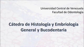Universidad Central de Venezuela
Facultad de Odontología
 