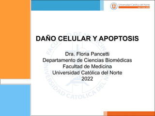 DAÑO CELULAR Y APOPTOSIS
Dra. Floria Pancetti
Departamento de Ciencias Biomédicas
Facultad de Medicina
Universidad Católica del Norte
2022
 