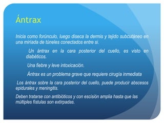 Ántrax
Inicia como forúnculo, luego diseca la dermis y tejido subcutáneo en
una miríada de túneles conectados entre si.
      Un ántrax en la cara posterior del cuello, es visto en
     diabéticos.
      Una fiebre y leve intoxicación.
      Ántrax es un problema grave que requiere cirugía inmediata
 Los ántrax sobre la cara posterior del cuello, puede producir abscesos
epidurales y meningitis.
Deben tratarse con antibióticos y con escisión amplia hasta que las
múltiples fístulas son extirpadas.
 