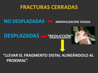 SECTOR