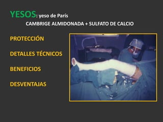 ESPECÍFICASHUESO Y SECTOREPIFISARIA Ó ARTICULARMETAFISARÍADIAFISARIA: TERCIO P-M-D