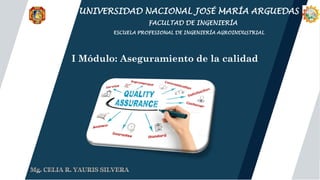 Titulo
I Módulo: Aseguramiento de la calidad
UNIVERSIDAD NACIONAL JOSÉ MARÍA ARGUEDAS
FACULTAD DE INGENIERÍA
ESCUELA PROFESIONAL DE INGENIERÍA AGROINDUSTRIAL
 