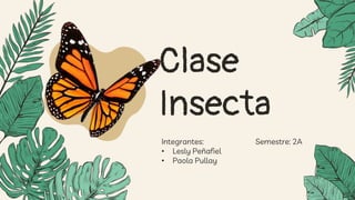 Integrantes: Semestre: 2A
• Lesly Peñafiel
• Paola Pullay
Clase
Insecta
 