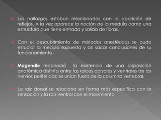 Desarrollo de la psicología fisiológicaDesarrollo de los procedimientos para estudiar el cerebro y la medula espinal y su aplicación en entornos clínicos y experimentales sentaron las bases para entender las estructuras y funciones del sistema nervioso.Para los psicólogos nos da la base para entender las sensaciones, la percepción, las emociones, el lenguaje y la cognición.La médula espinal fue lo primero que se estudio en virtud de que es menos compleja y físicamente más accesible que el cerebro.