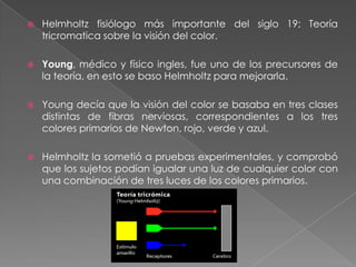 Magendie: aclaró fundamentos del arco reflejo; modelo conductual, en el que se aisló la sensación y el movimiento, proporcionaría a la psicología el paradigma de estímulo respuesta.Fisiología sensorial; los nervios intervienen entre los sucesos del mundo externo y nuestra percepción de ellos, entonces deben influir en la calidad de nuestras percepciones.Un mismo estímulo genera distintas sensaciones  si opera en nervios diferentes, ejemplo: un golpe fuerte en la cabeza genera sensaciones de dolor, destellos de luz y ruidos porque ha estimulado todos estos diferentes sistemas sensoriales.Cuando diferentes estímulos actúan en el mismo nervio, deben producir la misma sensación, ejm: la sensaciones visuales normalmente debidas a la estimulación de luz también se pueden producir por efectos químicos y eléctricos sobre el mismo nervio o por la presión del parpado cuando el ojo esta cerrado y por ello la sensación es luz.